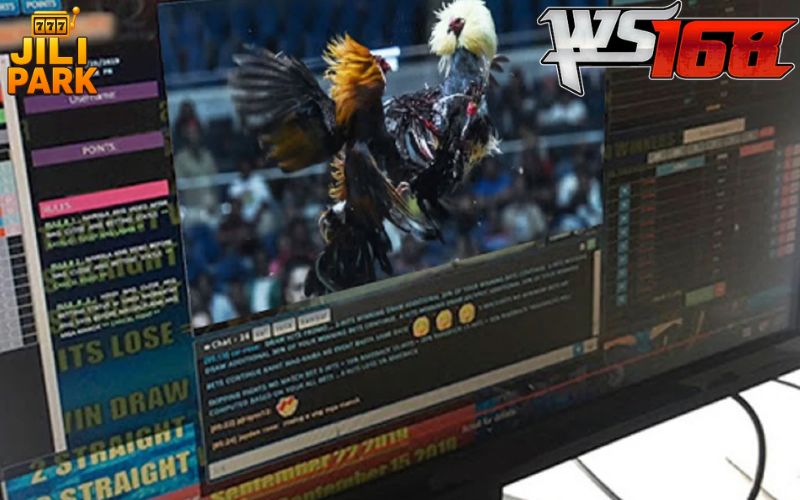 WS168 Sabong – The Premier Arena You Shouldn’t Miss in 2025 2 High-Definition Livestreaming