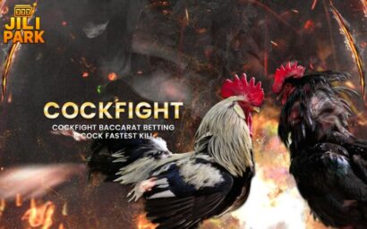 S128 Cockfighting: A Premier Destination for Enthusiasts