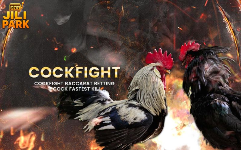 S128 Cockfighting: A Premier Destination for Enthusiasts 1 S128 Cockfighting: A Premier Destination for Enthusiasts