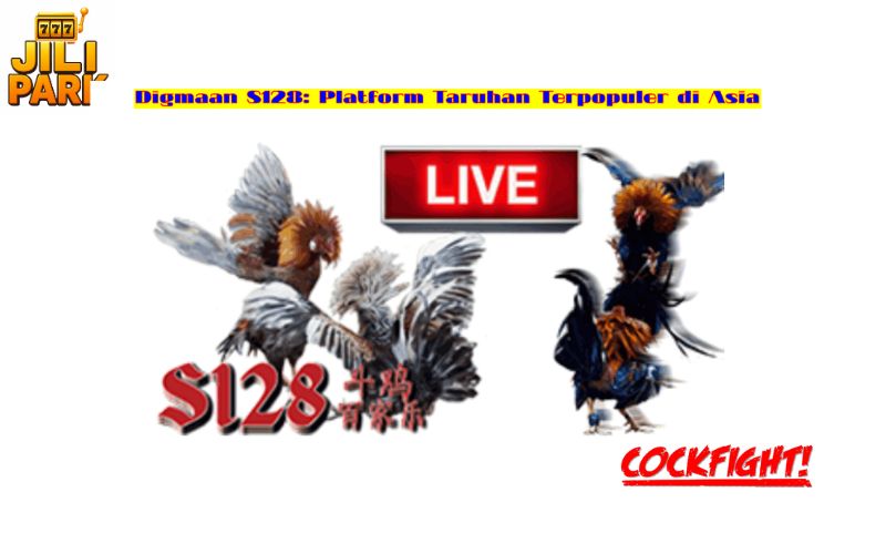 S128 Cockfighting: A Premier Destination for Enthusiasts 2 Types of Cockfighting at S128