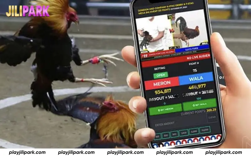 Live streaming impact on betting decisions