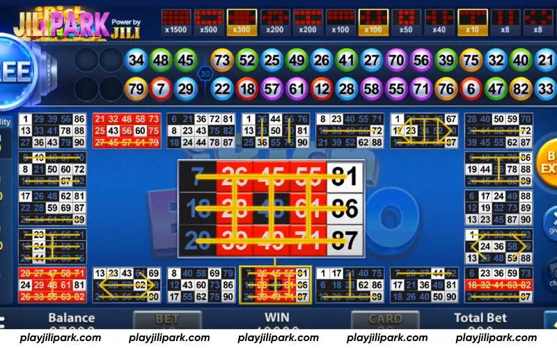 iRich Bingo gameplay and bingo card mechanics