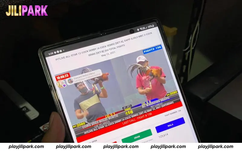 Continuous livestream cockfighting matches in lobby