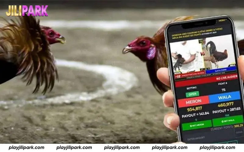 Meron, Wala, and BDD betting options in Thomo Lobby